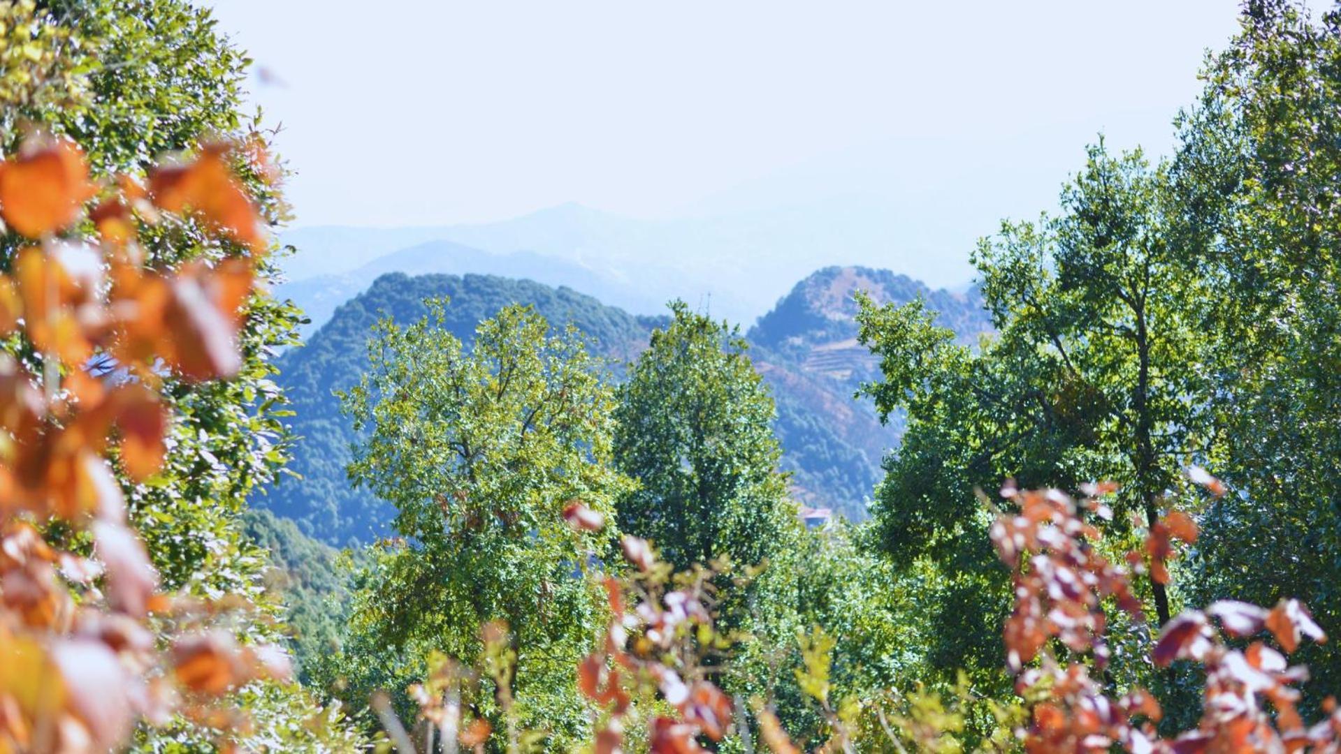 Haut Monde King'S Paradise Resort Kanatal Exterior foto